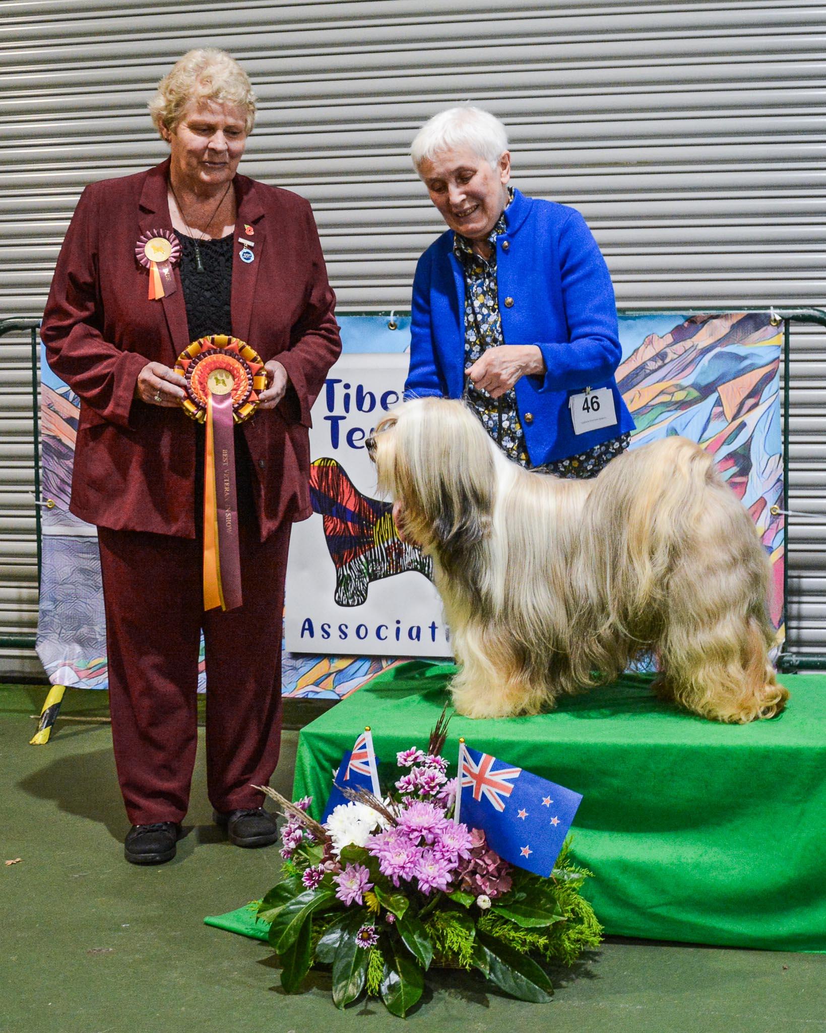 Shows Tibetan Terrier Association